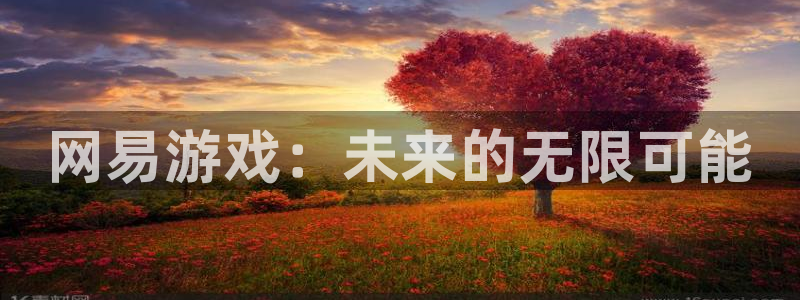 pp电子官网平台代理条件怎么样：网易游戏：未来的无限可能
