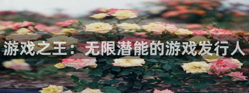 pp电子户外：游戏之王：无限潜能的游戏发行人