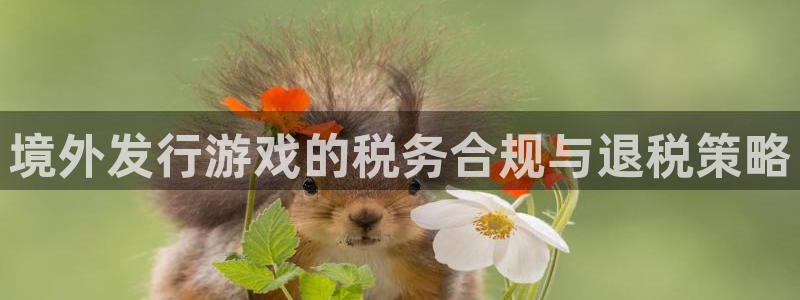 pp电子官网客服怎么样：境外发行游戏的税务合规与退税策略