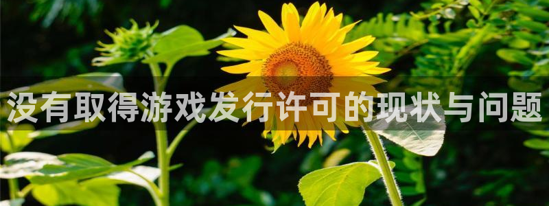 我要看pp电子：没有取得游戏发行许可的现状与问题