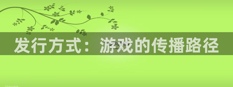 四川pp电子科技有限公司招聘：发行方式：游戏的传播路径