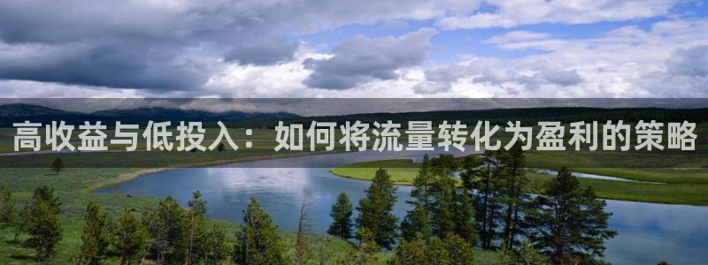 pp电子子财经图书：高收益与低投入：如何将流量转化为盈利的策略