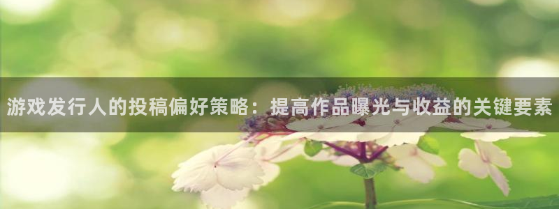 pp电子官网怎么注册账号：游戏发行人的投稿偏好策略：提高作品曝光与收益的关键要素