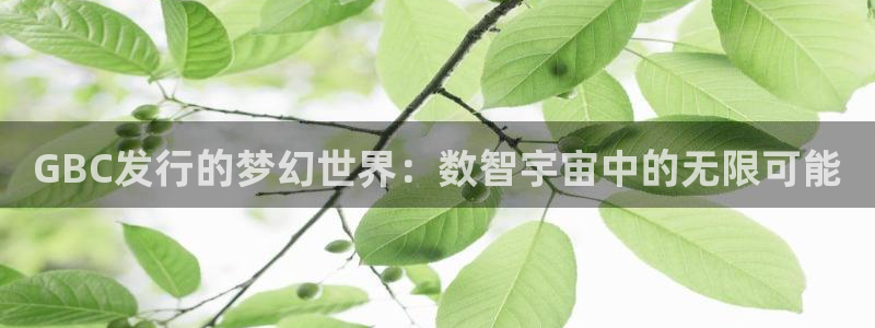 pp电子子经理人
