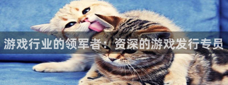 pp电子子文化有什么游戏：游戏行业的领军者：资深的游戏发行专员