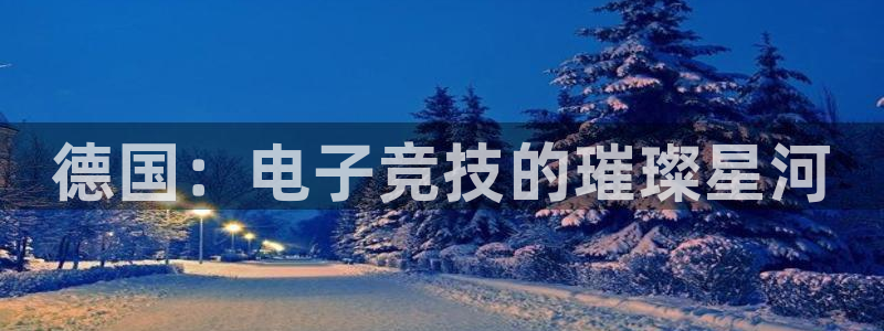 pp电子子文化：德国：电子竞技的璀璨星河