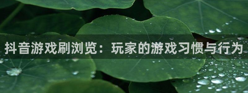 pp电子集团有限公司：抖音游戏刷浏览：玩家的游戏习惯与行为