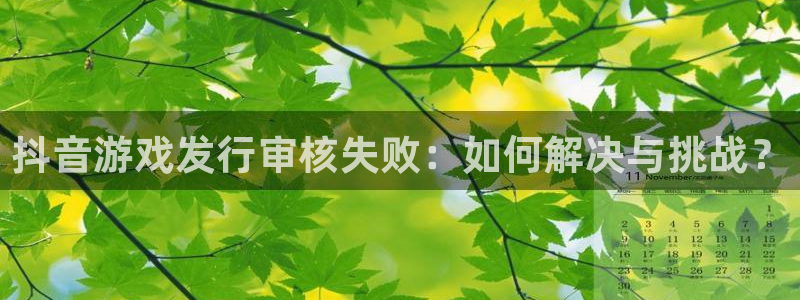 pp电子有什么寓意：抖音游戏发行审核失败：如何解决与挑战？