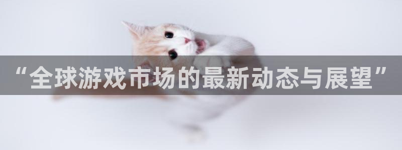 pp电子科技股票：“全球游戏市场的最新动态与展望”