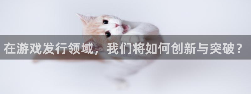 pp电子logo片头米高梅狮子：在游戏发行领域，我们将如何创新与突破？