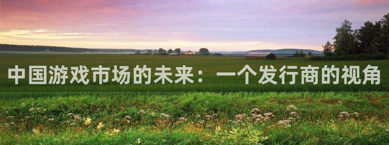 pp电子烟照片：中国游戏市场的未来：一个发行商的视角