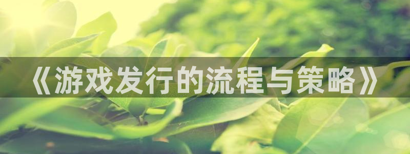 pp电子电子商务有限公司怎么样