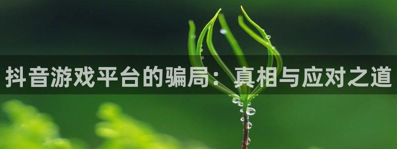 pp电子涂料(北京)有限公司：抖音游戏平台的骗局：真相与应对之道