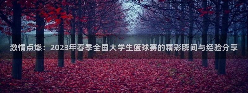 3377体育app下载安装