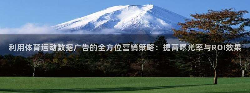 3377体育在线