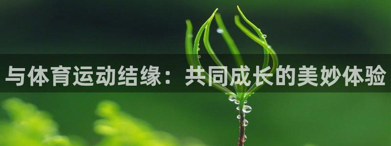 3377体育手机平台