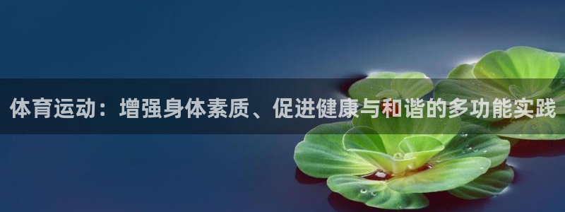 3377体育app官方下载