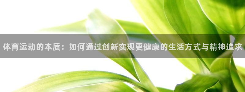 3377体育官方app下载