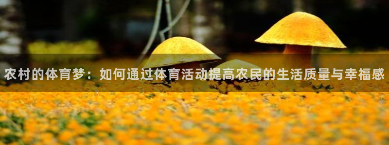 3377体育全网
