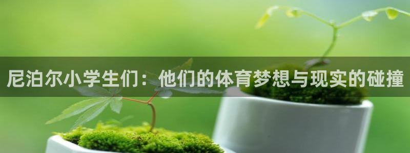 3377体育官网