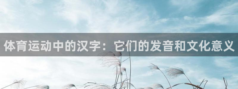 3377体育app下载安装